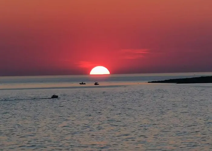 Le Palme House Σπίτι διακοπών *