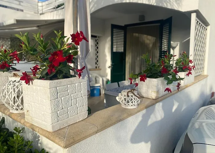 Σπίτι διακοπών Le Palme House Isola delle Femmine